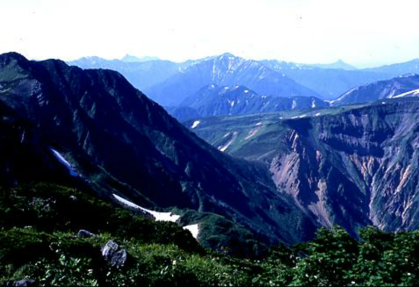 佐野市亀井町 佐野駅近く 皮膚科